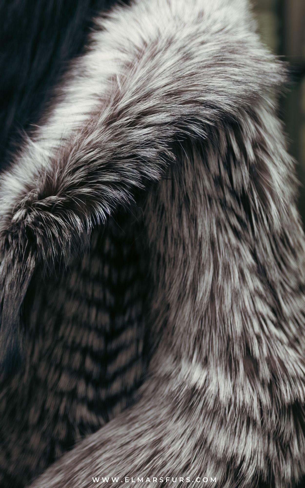 Silver Fox Jacket